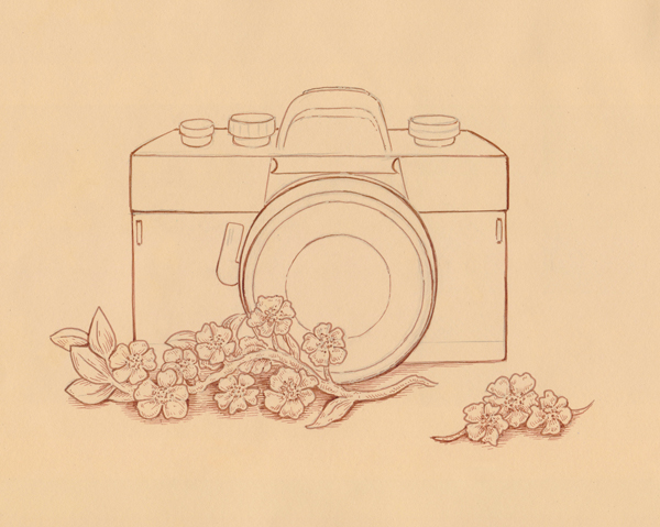 Hatching the flowers